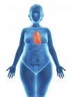 Ілюстрація синій силует ожирінням жінка з виділених серця. — стокове фото