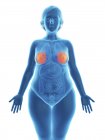 Illustration de la silhouette bleue d'une femme obèse avec des glandes mammaires surlignées . — Photo de stock
