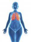 Ilustración de la silueta azul de la mujer obesa con los pulmones resaltados
. - foto de stock