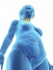 Illustration en angle bas de la silhouette bleue d'une femme obèse avec larynx surligné
. — Photo de stock