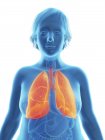 Ілюстрація синій силует ожирінням жінка з виділених легені. — стокове фото
