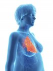 Ілюстрація синій силует ожирінням жінка з виділених серця. — стокове фото