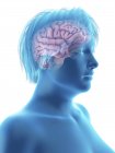 Illustration of silhouette of obese woman with highlighted brain. — Stock Photo