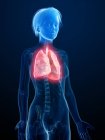 Ilustración de la silueta humana con pulmones inflamados
. - foto de stock