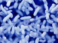 Ilustración abstracta de la bacteria bacilos azules, marco completo . - foto de stock
