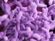 Abstract illustration of purple bacilli bacteria, full frame. — Stock Photo