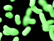 Abstract illustration of green bacilli bacteria, full frame. — Stock Photo