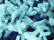 Abstract illustration of blue bacilli bacteria, full frame. — Stock Photo