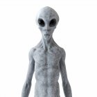 Illustration of gray humanoid alien on white background. — Stock Photo