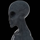 Ilustração de cinza humanóide alienígena em fundo preto, close-up . — Fotografia de Stock