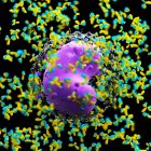 Illustration of leucocyte cell surrounded by antibodies on black background. — Stock Photo