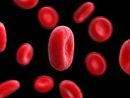 Illustrazione delle cellule del sangue umano su sfondo nero . — Foto stock