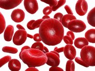 Illustrazione delle cellule del sangue umano su sfondo bianco . — Foto stock