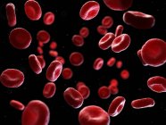 Abbildung menschlicher Blutkörperchen auf schwarzem Hintergrund. — Stockfoto