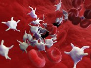 Illustrazione della ferita di fissaggio delle piastrine con flusso sanguigno degli eritrociti . — Foto stock