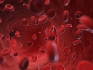 Ilustração das células sanguíneas humanas na corrente sanguínea
. — Fotografia de Stock