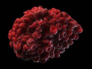 Ілюстрація групи клітин в тканині крові . — стокове фото