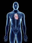 Illustration der transparenten blauen Silhouette des männlichen Körpers mit farbigem Herzen. — Stockfoto