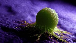 Цветная цифровая иллюстрация зеленых раковых клеток . — стоковое фото