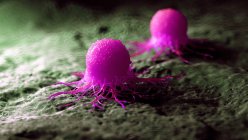 Ilustración digital coloreada de células cancerosas rosadas . - foto de stock