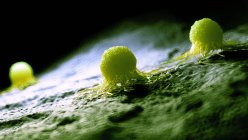 Colored digital illustration of green cancer cells. — Stock Photo