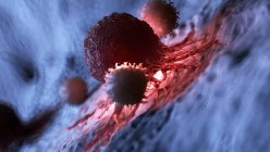 Obra de arte digital de glóbulos blancos atacando células cancerosas iluminadas rojas
. — Stock Photo