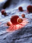 Farbige Illustration von Krebszellen, die von weißen Blutkörperchen angegriffen werden. — Stockfoto