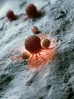 Illustration de cellules cancéreuses attaquées par des globules blancs . — Photo de stock
