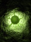 Ілюстрація зеленої ілюмінованої ракової клітини . — стокове фото