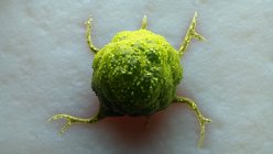 Création numérique de cellules cancéreuses vertes à la surface des tissus . — Photo de stock