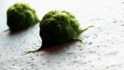 Digital illustration of green cancer cells. — Stock Photo