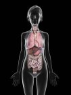 Ilustración de silueta de mujer mayor mostrando órganos sobre fondo negro . - foto de stock