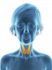 Blaue Silhouette einer Seniorin mit hervorgehobener Schilddrüse, Illustration. — Stockfoto