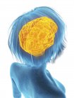 Medical illustration of silhouette of senior woman with highlighted brain on white background. — Stock Photo