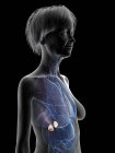 Ilustração da silhueta da mulher idosa mostrando glândulas supra-renais no fundo preto . — Fotografia de Stock