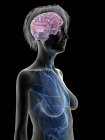 Ilustración médica de la silueta de la mujer mayor con el cerebro resaltado sobre fondo negro . - foto de stock