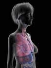 Ilustración de silueta de mujer mayor mostrando pulmones sobre fondo negro . - foto de stock