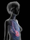 Grey silhouette of senior woman with highlighted stomach, medical illustration. — Stock Photo