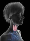 Grey silhouette of senior woman silhouette with highlighted thyroid gland, illustration. — Stock Photo