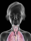 Ilustración de la silueta de mujer mayor que muestra la anatomía de la garganta sobre fondo negro . - foto de stock