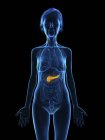 Blue silhouette of senior woman showing pancreas in body. — Stock Photo