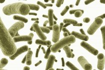 Цифровая иллюстрация зеленых бактерий на белом фоне
. — стоковое фото