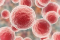 Цифровая иллюстрация красных раковых клеток, полный кадр . — стоковое фото