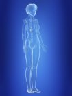 Illustration of adrenal glands in silhouette of female body. — Stock Photo