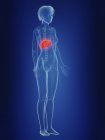 Illustration of female silhouette with painful liver. — Stock Photo