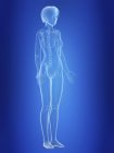 Illustration of skeleton in silhouette of female body. — Stock Photo