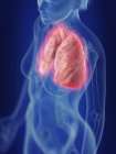 Ilustración de la silueta humana con pulmones inflamados . - foto de stock