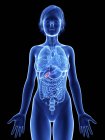 Illustration of female silhouette with highlighted gallbladder. — Stock Photo