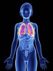 Ilustración de silueta femenina con pulmones resaltados . - foto de stock