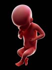Abbildung eines roten menschlichen Embryos auf schwarzem Hintergrund im Schwangerschaftsstadium der 25. Woche. — Stockfoto